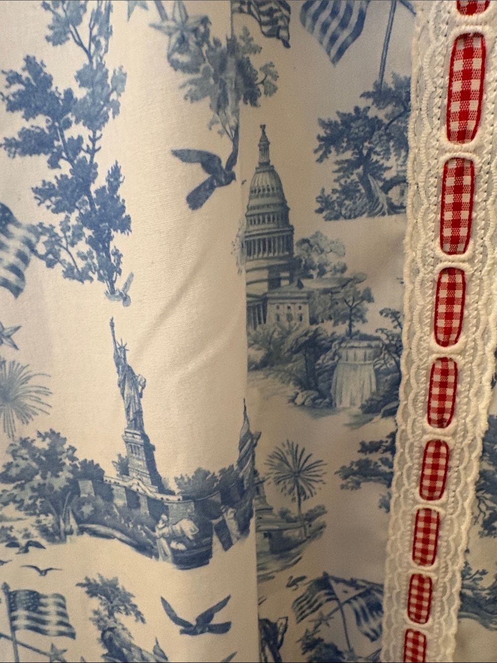 All American Girl toile mini dress - Picture 5 of 6